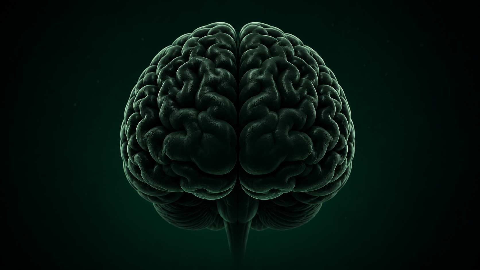 Dormant Brain Concept